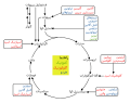 تصویر بندانگشتی از نسخهٔ مورخ ‏۲۴ فوریهٔ ۲۰۲۱، ساعت ۲۱:۳۰