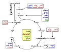 تصویر بندانگشتی از نسخهٔ مورخ ‏۲ مارس ۲۰۲۱، ساعت ۱۵:۲۲