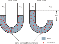 תמונה ממוזערת לגרסה מ־05:40, 29 בנובמבר 2011