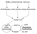 Минијатура за верзију на дан 05:08, 8. јун 2008.