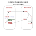 2006年9月16日 (六) 10:53版本的缩略图