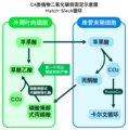 2006年11月29日 (三) 11:20版本的缩略图