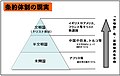 2007年11月4日 (日) 12:45時点における版のサムネイル