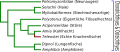 Vorschaubild der Version vom 12:02, 8. Sep. 2013