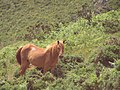 2006年3月20日 (月) 06:32時点における版のサムネイル