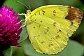 2012年2月21日 (火) 09:52時点における版のサムネイル