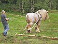 Miniatuurafbeelding voor de versie van 29 mei 2015 17:59