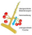 Vorschaubild der Version vom 11:34, 2. Okt. 2014