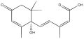 18:10, 2 ஏப்பிரல் 2008 இலிருந்த பதிப்புக்கான சிறு தோற்றம்