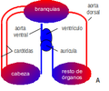 Bildeto por versio ekde 15:53, 18 maj. 2012