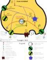 Vignette pour la version du 23 mars 2014 à 21:50