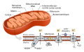 Miniatuurafbeelding voor de versie van 31 jul 2021 18:05