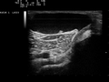 Thumbnail for version as of 13:28, 29 January 2011