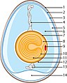 Миниатюрань версия 06:42, 14 Сундерьковонь 2004-стэ