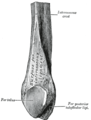 11:28, 18 மே 2006 இலிருந்த பதிப்புக்கான சிறு தோற்றம்