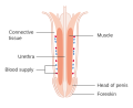 Thumbnail for version as of 15:56, 17 December 2015