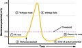 Pisipilt versioonist seisuga 14. detsember 2013, kell 12:49