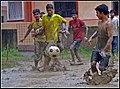 16:49, 10 ஆகத்து 2008 இலிருந்த பதிப்புக்கான சிறு தோற்றம்