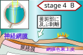 2015年12月29日 (火) 10:24時点における版のサムネイル