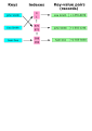 Miniadura de la version di 06:26, 1 des 2005