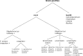 20:00, 18 Ապրիլի 2010 տարբերակի մանրապատկերը