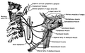 Hình xem trước của phiên bản lúc 15:14, ngày 27 tháng 1 năm 2014