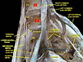 Hình xem trước của phiên bản lúc 16:48, ngày 25 tháng 4 năm 2013