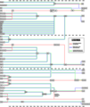 Vignette pour la version du 5 décembre 2008 à 02:00