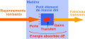 Vignette pour la version du 9 novembre 2011 à 21:39