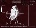 Минијатура за верзију на дан 07:10, 27. фебруар 2006.