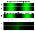 Минијатура на верзијата од 19:27, 18 август 2016