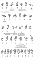 Miniadura de la version de le 03:37, 17 dis 2007