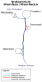 Vorschaubild der Version vom 15:36, 11. Jul. 2014