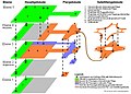 Vorschaubild der Version vom 22:37, 19. Dez. 2006