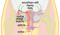 21:28, 21 July 2020ৰ সংস্কৰণৰ ক্ষুদ্ৰ প্ৰতিকৃতি