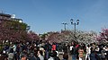 2016年4月11日 (月) 10:24時点における版のサムネイル