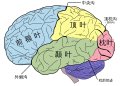 於 2020年3月29日 (日) 03:49 版本的縮圖