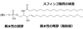 2011年3月27日 (日) 10:58時点における版のサムネイル