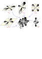 Miniatura per la version del 30 junh de 2006 a 20.14