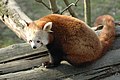 於 2010年3月26日 (五) 12:57 版本的縮圖