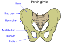 Thumbnail for version as of 22:43, 9 February 2023