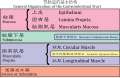 2018年2月18日 (日) 14:24版本的缩略图