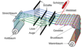 Vorschaubild der Version vom 15:28, 22. Nov. 2016