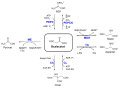 Vorschaubild der Version vom 15:20, 17. Apr. 2010