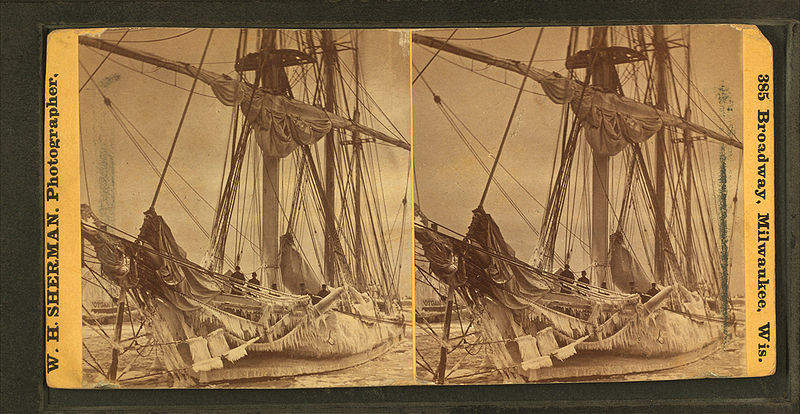 File:"Barque "Parana" shrouded in ice, Mar. 6, 1873, by W. H. Sherman.jpg