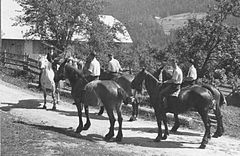 "Puršt?" na konjih, pripravljeni da gredo po nevesto v Dolah 1951 (2).jpg