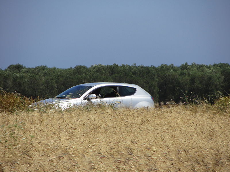 File:" 12 ITALY Alfa Romeo MiTo Grey Coupé Wheat fields.JPG