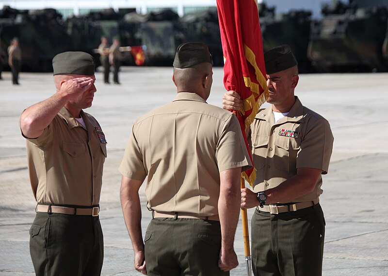 File:'Gator' Battalion welcomes new CO 130614-M-BW898-001.jpg