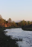 Река Гумс в окрестностях Иласхан-Юрта