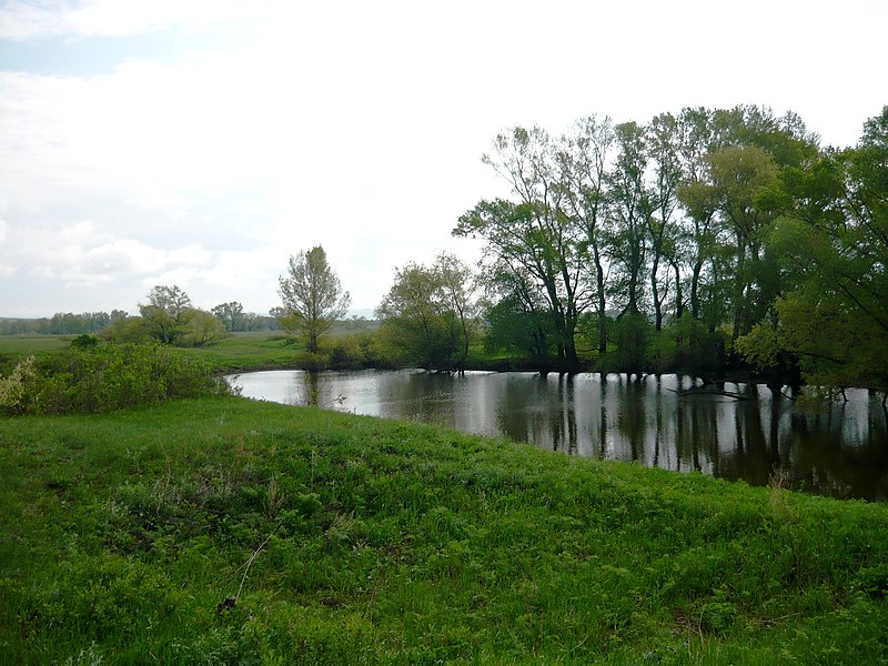 File:Свиное озеро - Svinoye Lake - panoramio.jpg